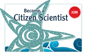Become a Citizen Scientist: Join Now