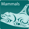Mammal